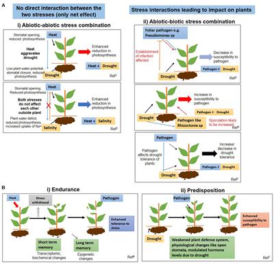 Frontiers | Biostimulants in Plant Science: A Global Perspective